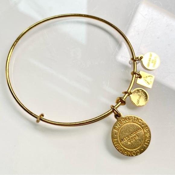 Alex and Ani Gold Charm Bracelet with Citrus Design - Picture 4 of 5